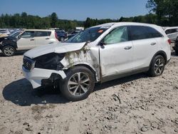 KIA salvage cars for sale: 2019 KIA Sorento EX