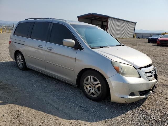 2005 Honda Odyssey EXL