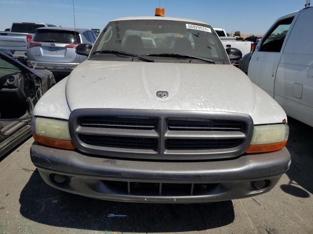 2002 Dodge Dakota Base