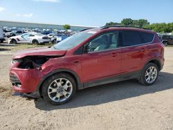 Ford salvage cars for sale: 2013 Ford Escape SEL