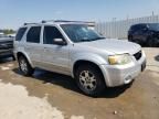 2005 Ford Escape Limited