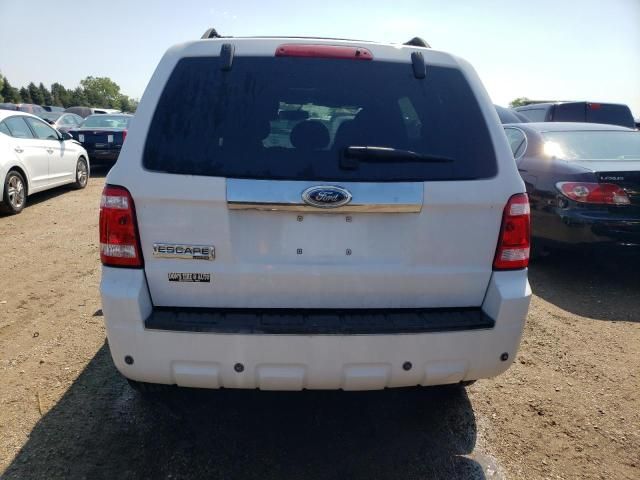 2008 Ford Escape Limited