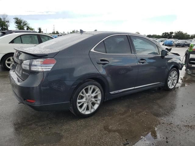 2010 Lexus HS 250H