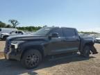 2023 Toyota Tundra Crewmax Platinum