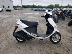 Genuine Scooter Co. Vehiculos salvage en venta: 2024 Genuine Scooter Co. Buddy 50