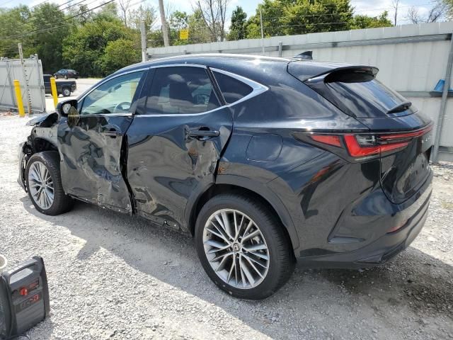 2023 Lexus NX 350H