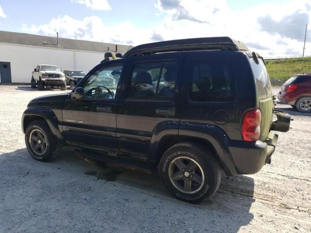 2003 Jeep Liberty Renegade