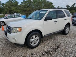 Salvage cars for sale from Copart Houston, TX: 2010 Ford Escape XLT