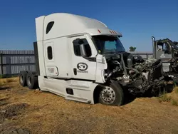 Salvage trucks for sale at Sacramento, CA auction: 2022 Freightliner Cascadia 126