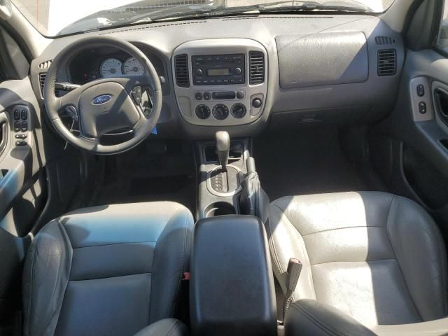 2005 Ford Escape XLT