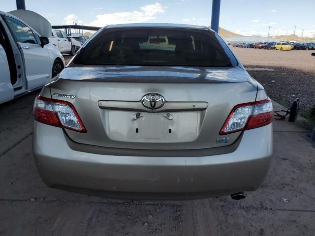 2009 Toyota Camry Hybrid