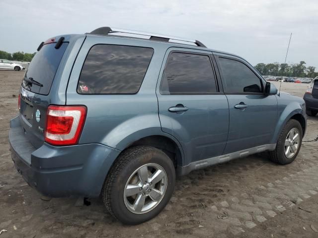 2010 Ford Escape Limited