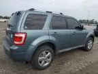 2010 Ford Escape Limited