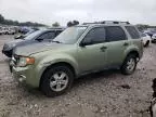 2008 Ford Escape XLT