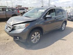 Salvage cars for sale at Elgin, IL auction: 2014 Honda CR-V EXL