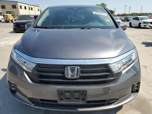 2024 Honda Odyssey EXL