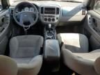 2006 Ford Escape XLT