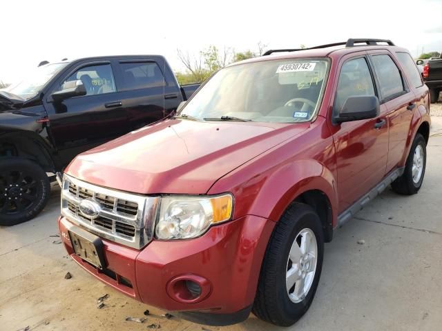 2009 Ford Escape XLS