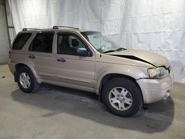 2007 Ford Escape XLT