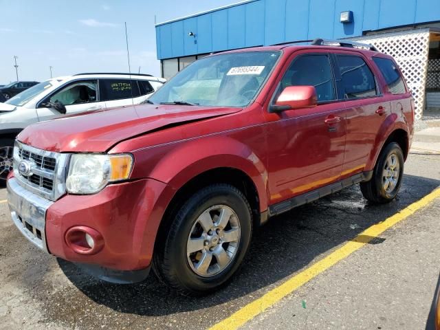 2010 Ford Escape Limited