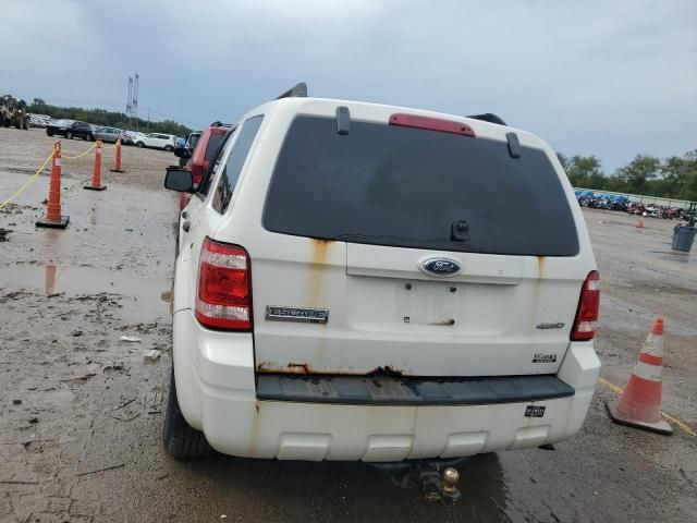 2009 Ford Escape XLT