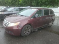 Salvage cars for sale at Glassboro, NJ auction: 2013 Honda Odyssey EXL