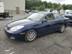 2004 Lexus ES 330