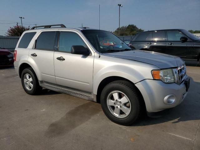 2009 Ford Escape XLT