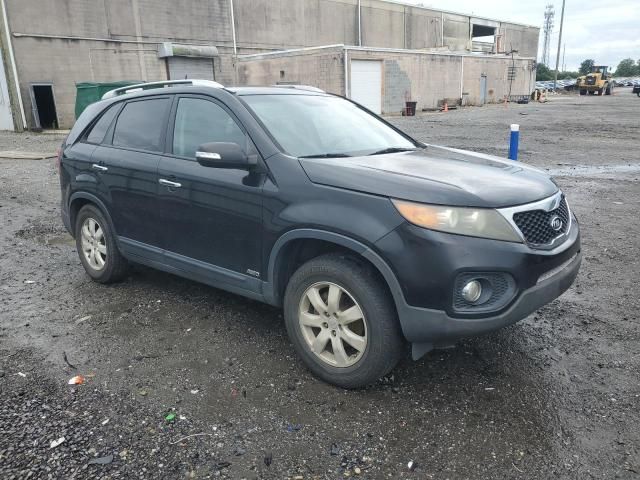 2011 KIA Sorento Base