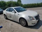 2011 Cadillac CTS Premium Collection