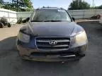 2007 Hyundai Santa FE GLS