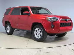 Salvage cars for sale at Wilmington, CA auction: 2022 Toyota 4runner SR5