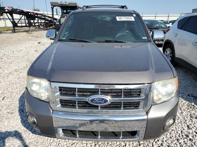 2010 Ford Escape Limited