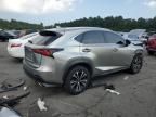 2019 Lexus NX 300 Base