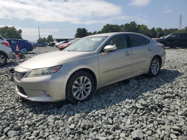 2013 Lexus ES 300H