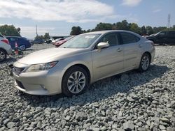 Lexus salvage cars for sale: 2013 Lexus ES 300H