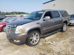 Cadillac salvage cars for sale: 2013 Cadillac Escalade ESV Luxury