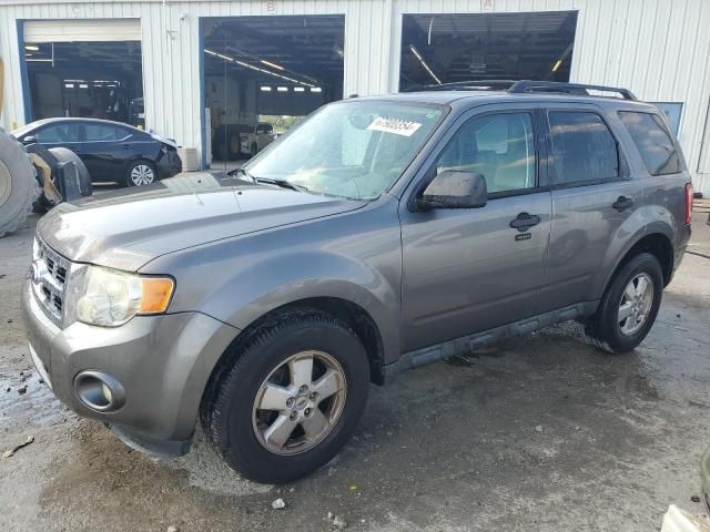 2010 Ford Escape XLT