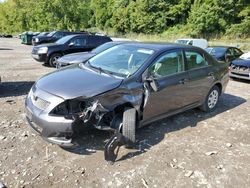 Toyota salvage cars for sale: 2010 Toyota Corolla Base