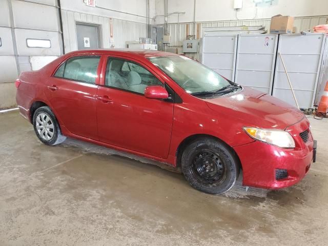 2010 Toyota Corolla Base