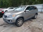 2011 KIA Sorento Base