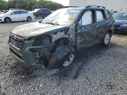 Salvage cars for sale at Windsor, NJ auction: 2023 Subaru Forester