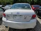 2010 Honda Accord EX