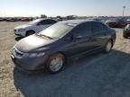 2006 Honda Civic Hybrid