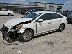 Salvage cars for sale at Earlington, KY auction: 2016 Hyundai Sonata Hybrid