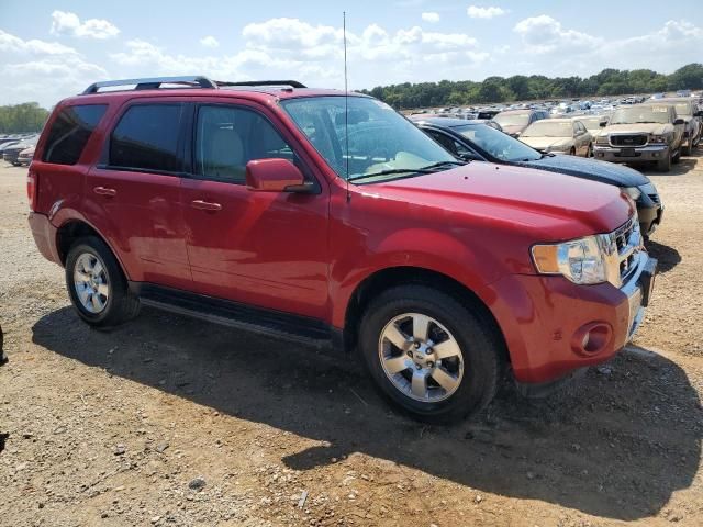 2011 Ford Escape Limited