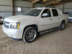 Chevrolet salvage cars for sale: 2013 Chevrolet Avalanche LTZ