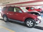 2009 Ford Escape XLT