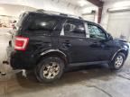 2010 Ford Escape Limited