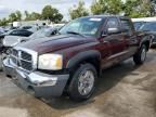 2005 Dodge Dakota Quad SLT